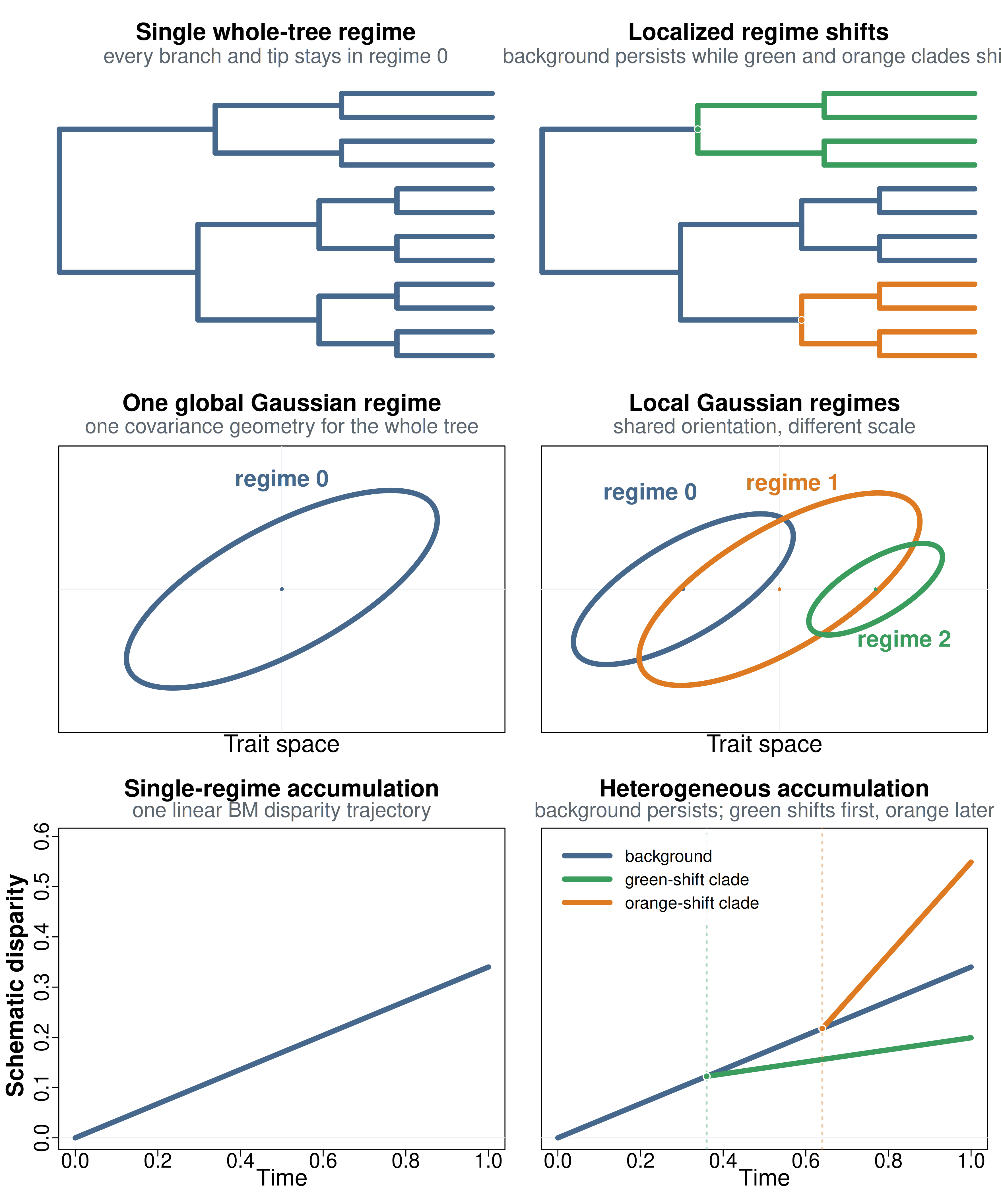 Six-panel schematic figure in three rows and two columns. Left column shows a single-regime phylogeny, one global Gaussian ellipse in trait space, and one linear disparity-accumulation curve. Right column shows a phylogeny with two localized shift clades, three Gaussian covariance ellipses with shared orientation but different size, and several clade-specific piecewise disparity curves.