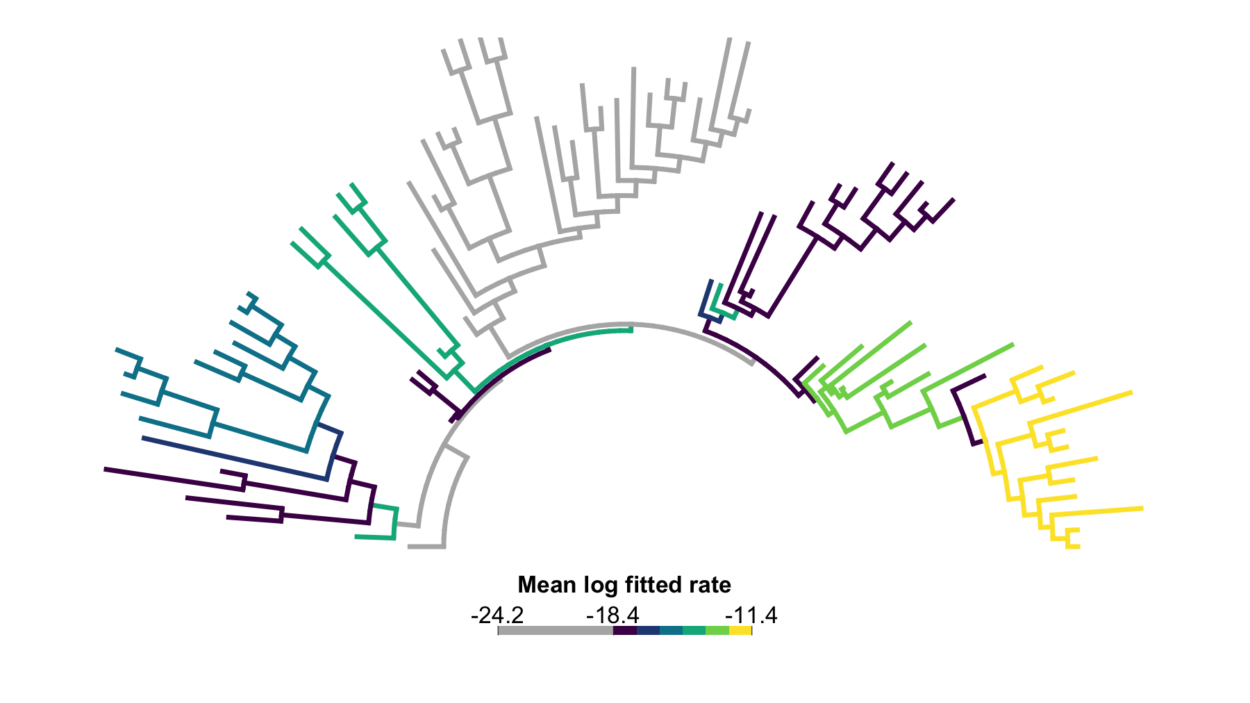Arc-style phylogenetic tree with grey near-zero branches and colored equal-weight branch log-rate categories across the jaw-shape threshold sweep.