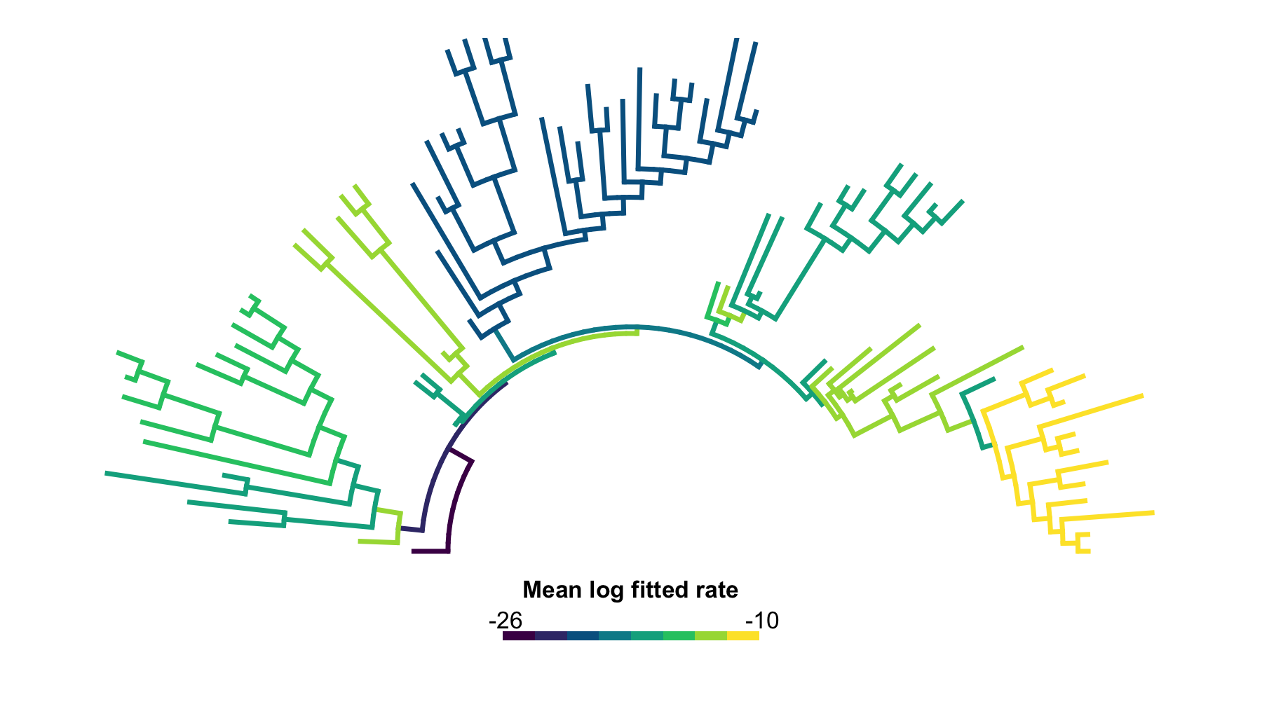 Arc-style phylogenetic tree colored by the default equal-weight branch log-rate categories across the jaw-shape threshold sweep.