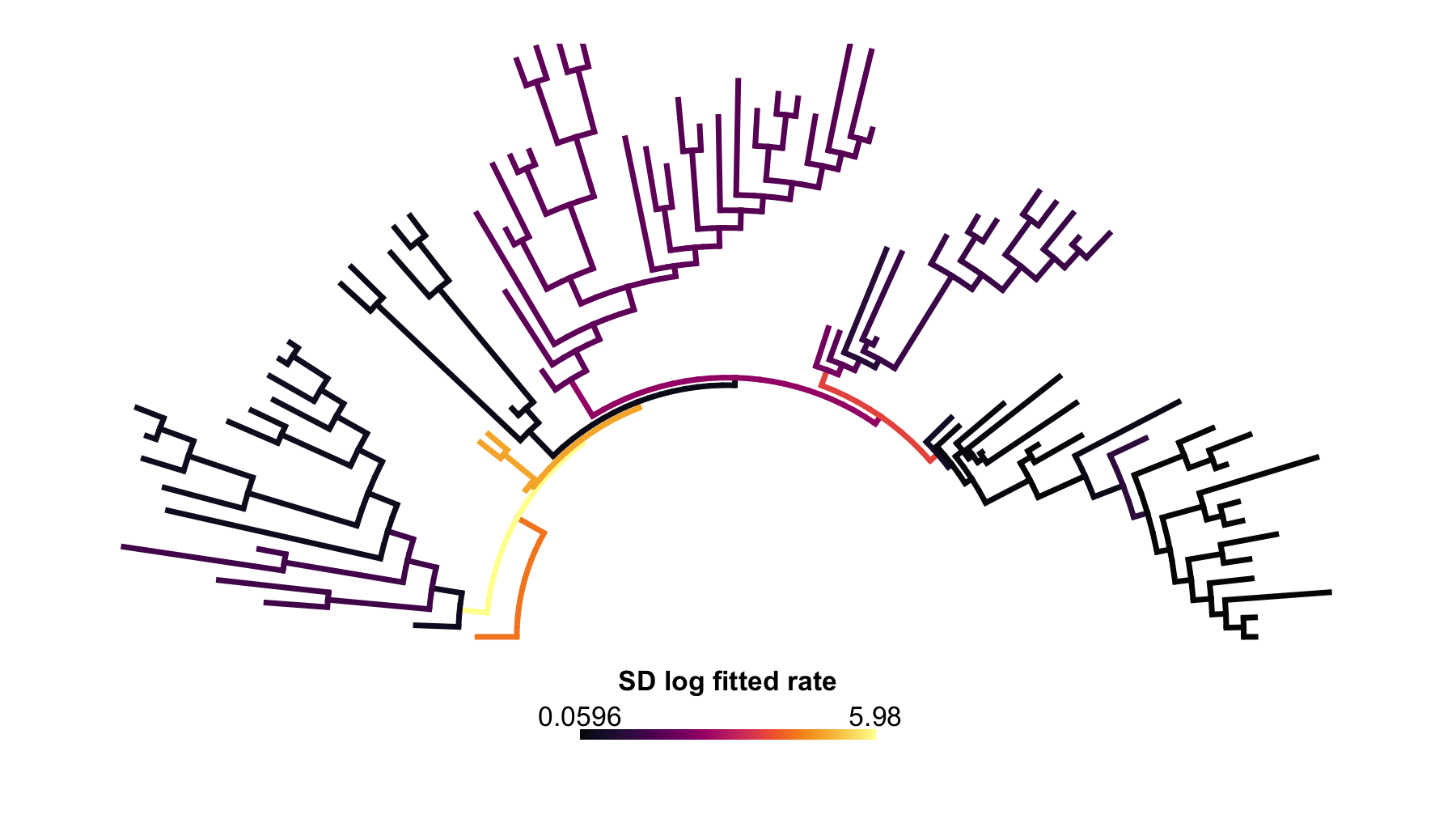 Arc-style phylogenetic tree with branches colored by across-threshold standard deviation in fitted log-rate.