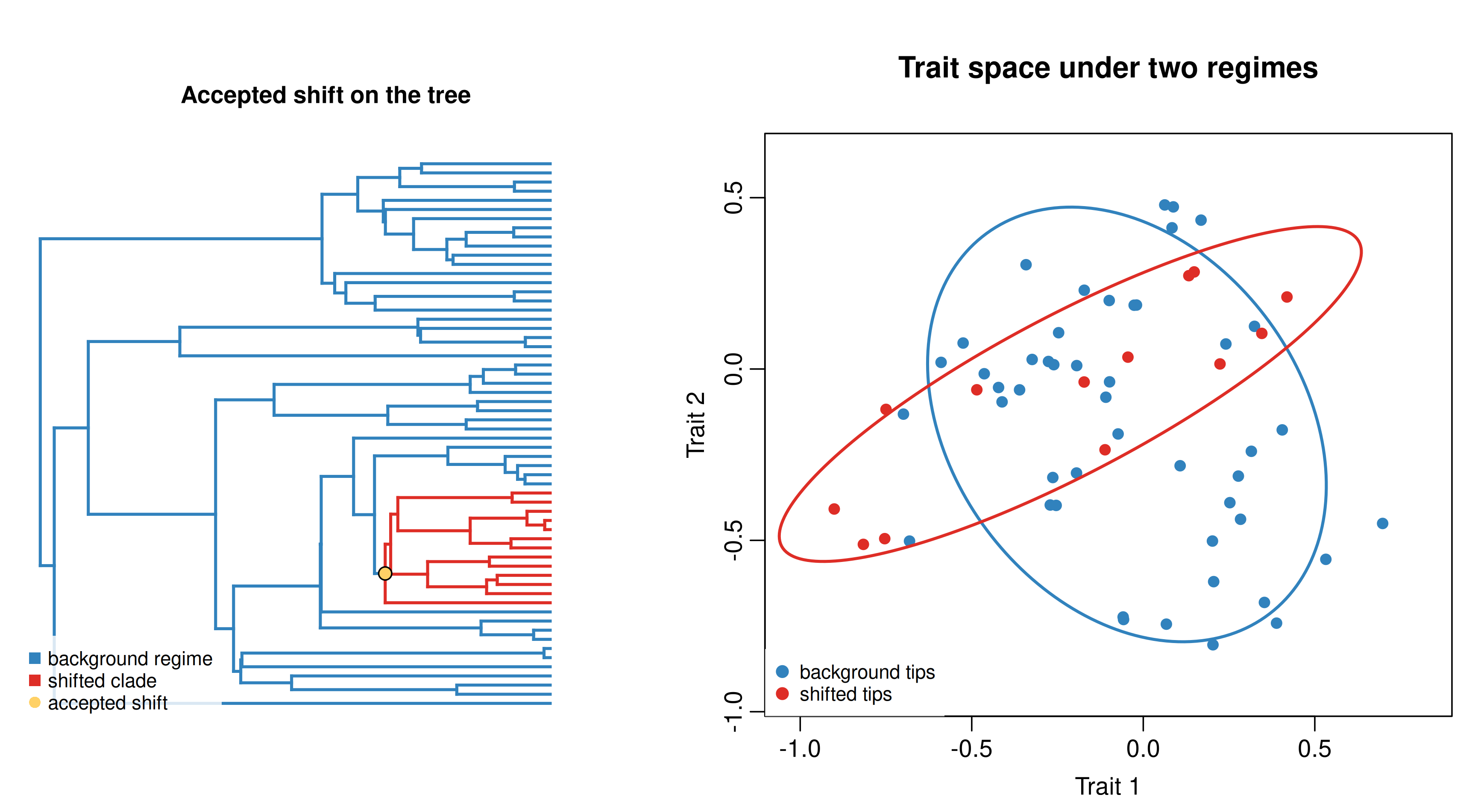 Two-panel figure showing a colored phylogenetic tree with one shifted clade and a scatterplot of two-trait data colored by regime.