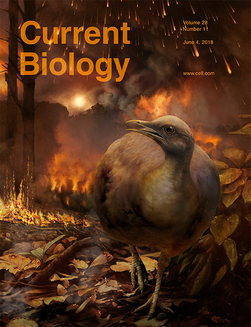 Current Biology cover