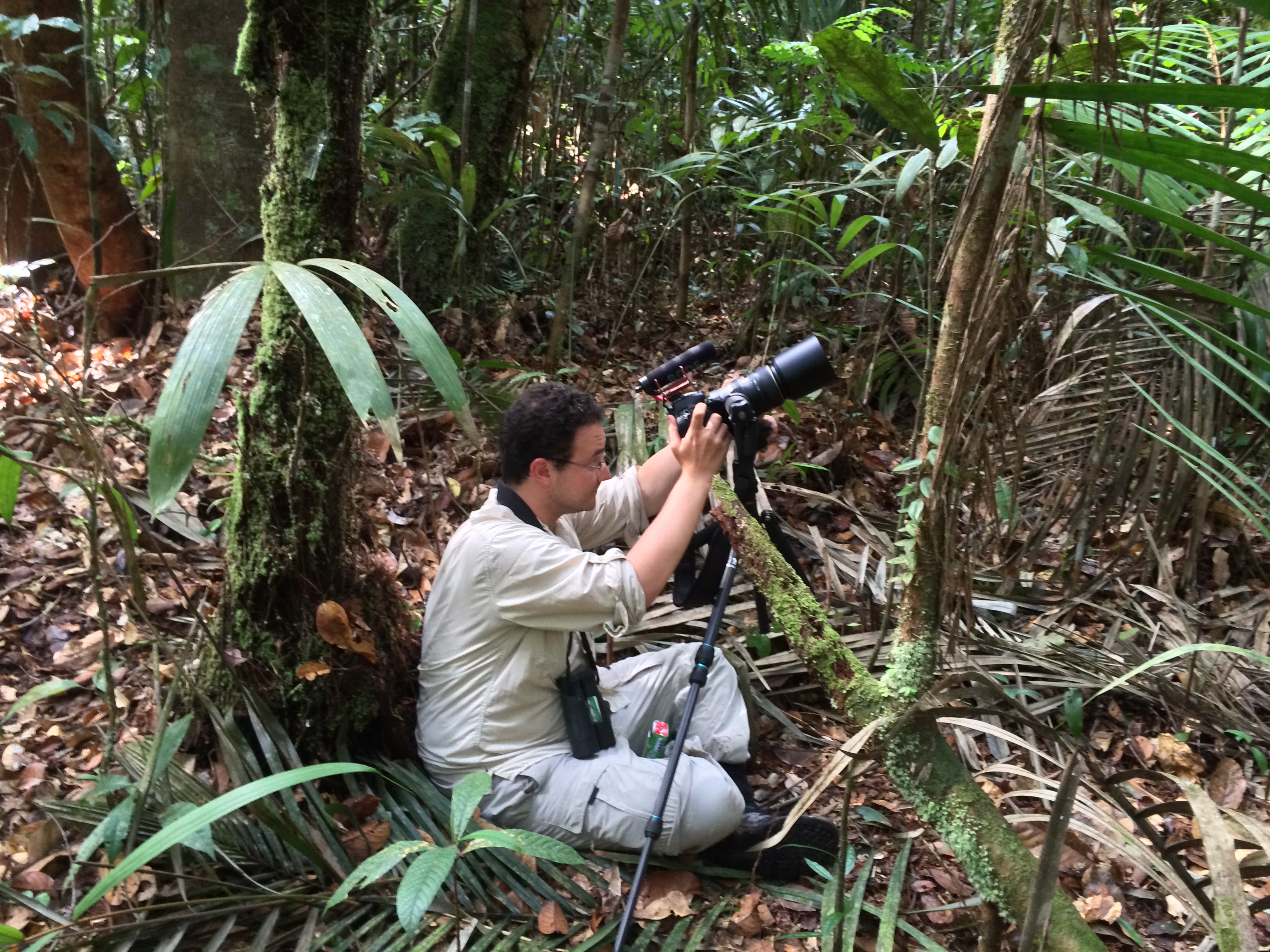 Field work outside Manaus