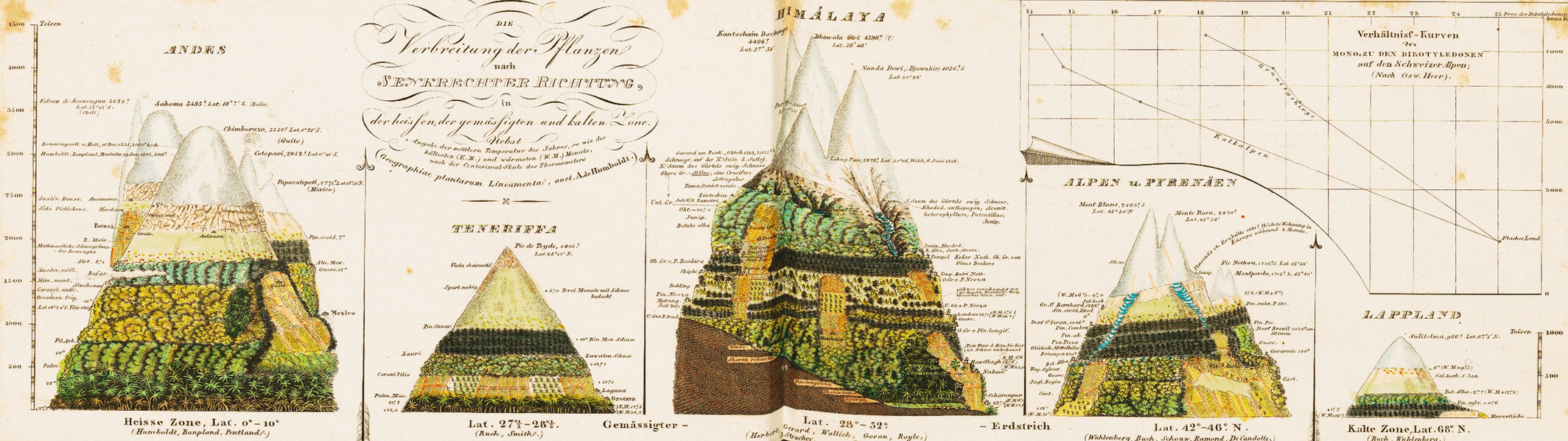 Physical Tableau of mountain ranges showing elevation bands in vegetation and characteristics of the physical environment in the Andes, Tenerife, the Himalayas, the Alps and Lappland (Berghaus, 1892)